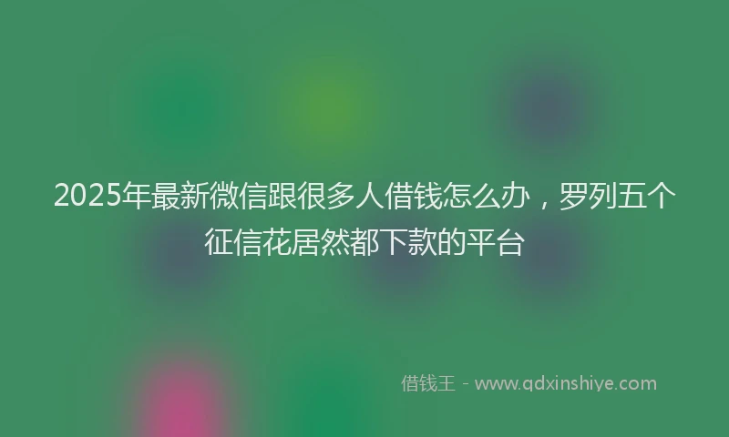 2025年最新微信跟很多人借钱怎么办，罗列五个征信花居然都下款的平台