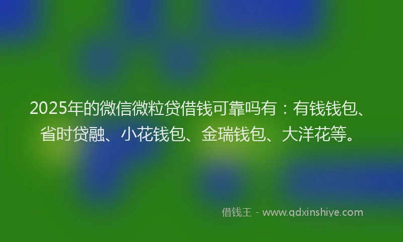 2025年的微信微粒贷借钱可靠吗有：有钱钱包、省时贷融、小花钱包、金瑞钱包、大洋花等。