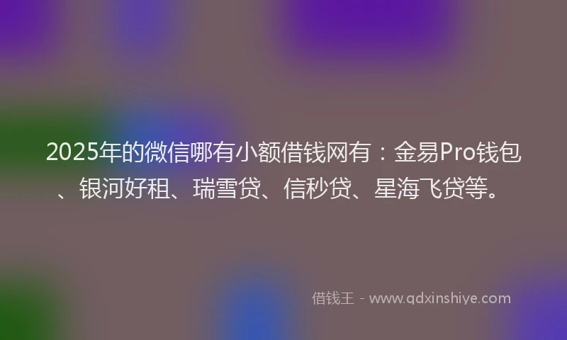 2025年的微信哪有小额借钱网有：金易Pro钱包、银河好租、瑞雪贷、信秒贷、星海飞贷等。