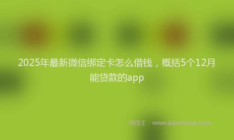 2025年最新微信绑定卡怎么借钱，概括5个12月能贷款的app