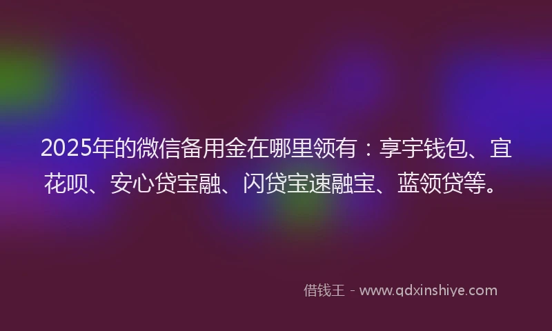 2025年的微信备用金在哪里领有：享宇钱包、宜花呗、安心贷宝融、闪贷宝速融宝、蓝领贷等。