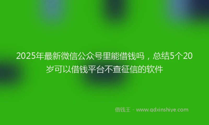 2025年最新微信公众号里能借钱吗，总结5个20岁可以借钱平台不查征信的软件