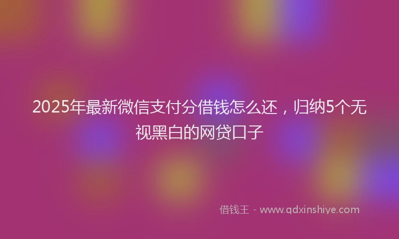 2025年最新微信支付分借钱怎么还，归纳5个无视黑白的网贷口子