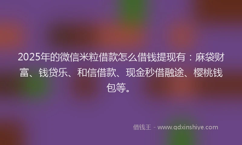 2025年的微信米粒借款怎么借钱提现有：麻袋财富、钱贷乐、和信借款、现金秒借融途、樱桃钱包等。
