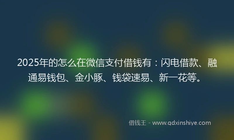 2025年的怎么在微信支付借钱有：闪电借款、融通易钱包、金小豚、钱袋速易、新一花等。