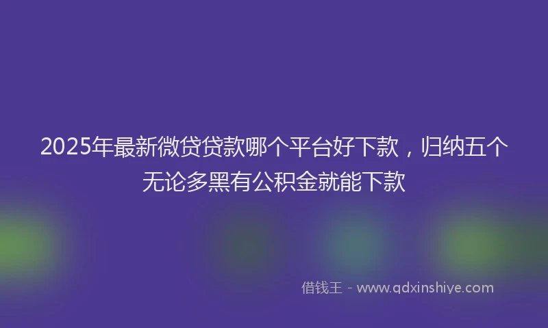 2025年最新微贷贷款哪个平台好下款，归纳五个无论多黑有公积金就能下款