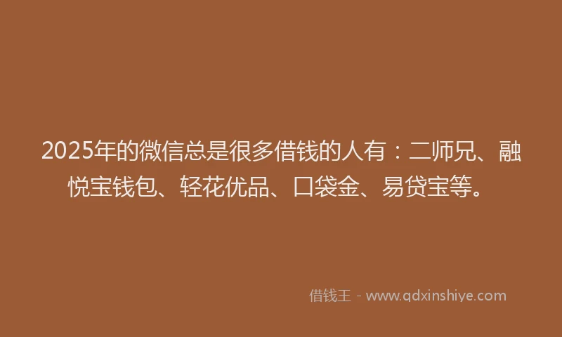 2025年的微信总是很多借钱的人有：二师兄、融悦宝钱包、轻花优品、口袋金、易贷宝等。