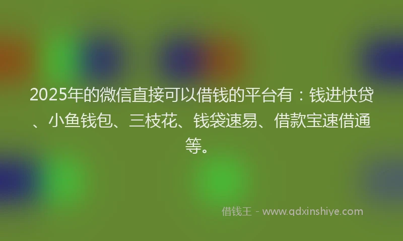 2025年的微信直接可以借钱的平台有：钱进快贷、小鱼钱包、三枝花、钱袋速易、借款宝速借通等。