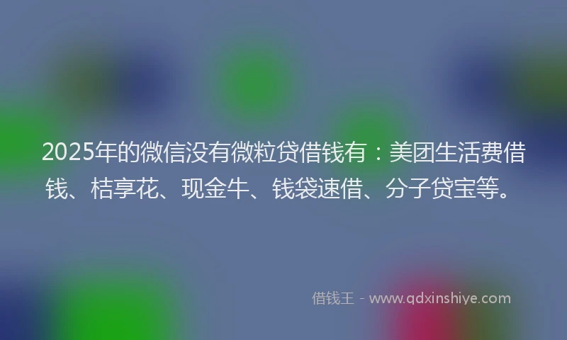 2025年的微信没有微粒贷借钱有：美团生活费借钱、桔享花、现金牛、钱袋速借、分子贷宝等。