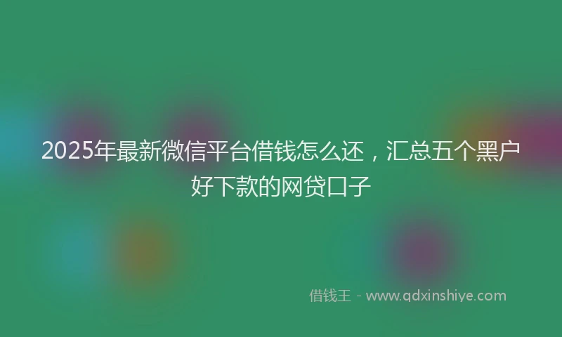2025年最新微信平台借钱怎么还，汇总五个黑户好下款的网贷口子