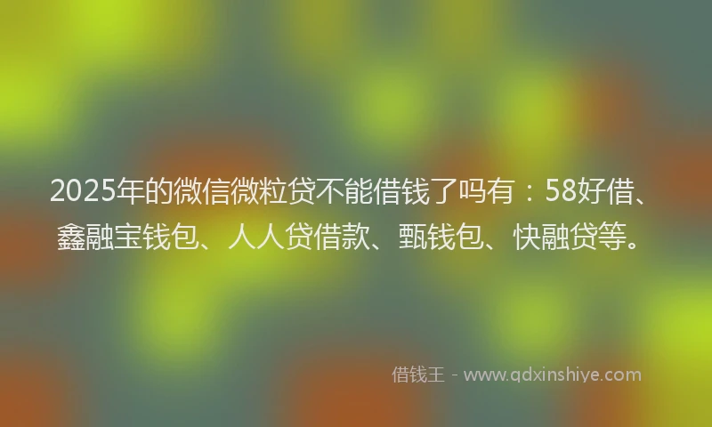 2025年的微信微粒贷不能借钱了吗有：58好借、鑫融宝钱包、人人贷借款、甄钱包、快融贷等。