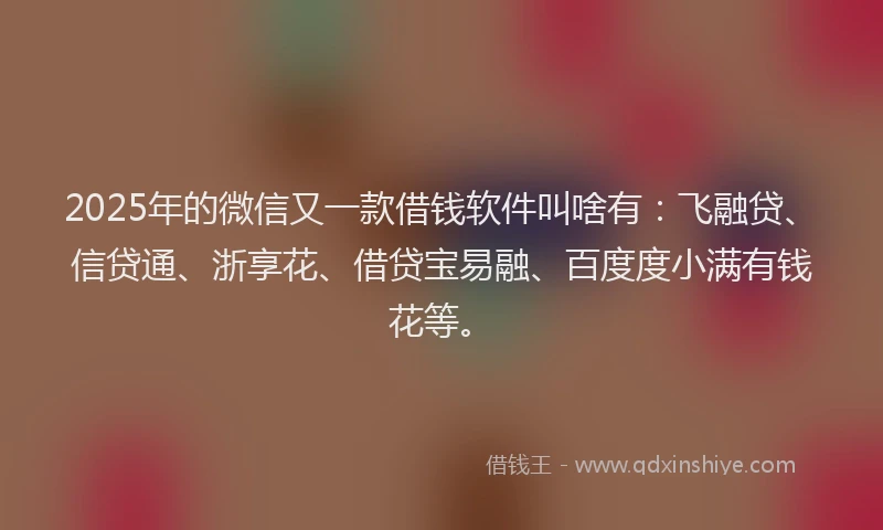 2025年的微信又一款借钱软件叫啥有：飞融贷、信贷通、浙享花、借贷宝易融、百度度小满有钱花等。