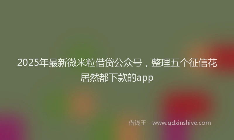 2025年最新微米粒借贷公众号，整理五个征信花居然都下款的app