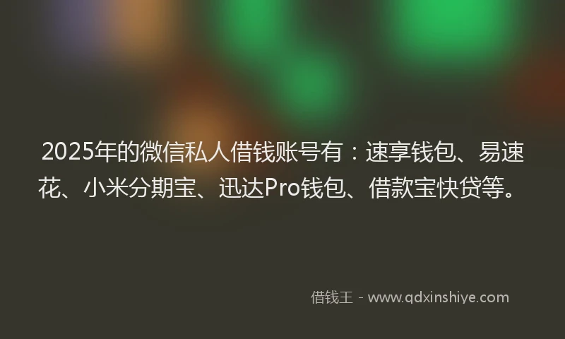 2025年的微信私人借钱账号有：速享钱包、易速花、小米分期宝、迅达Pro钱包、借款宝快贷等。