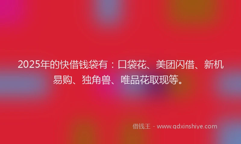 2025年的快借钱袋有：口袋花、美团闪借、新机易购、独角兽、唯品花取现等。