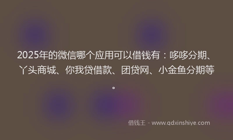 2025年的微信哪个应用可以借钱有：哆哆分期、丫头商城、你我贷借款、团贷网、小金鱼分期等。