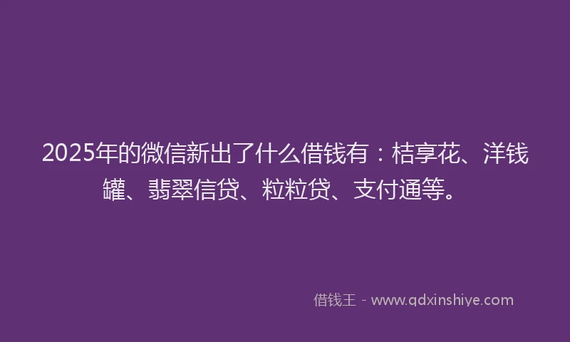 2025年的微信新出了什么借钱有：桔享花、洋钱罐、翡翠信贷、粒粒贷、支付通等。