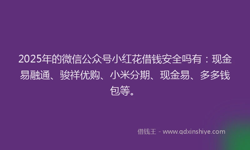 2025年的微信公众号小红花借钱安全吗有：现金易融通、骏祥优购、小米分期、现金易、多多钱包等。