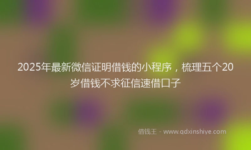 2025年最新微信证明借钱的小程序，梳理五个20岁借钱不求征信速借口子