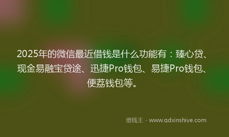 2025年的微信最近借钱是什么功能有：臻心贷、现金易融宝贷途、迅捷Pro钱包、易捷Pro钱包、便荔钱包等。