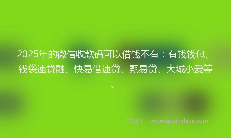 2025年的微信收款码可以借钱不有：有钱钱包、钱袋速贷融、快易借速贷、甄易贷、大城小爱等。