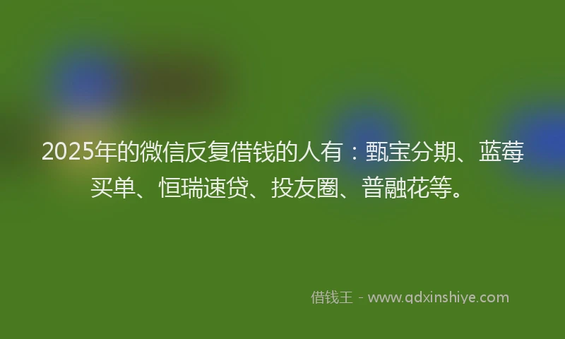 2025年的微信反复借钱的人有：甄宝分期、蓝莓买单、恒瑞速贷、投友圈、普融花等。