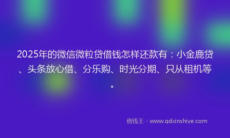 2025年的微信微粒贷借钱怎样还款有：小金鹿贷、头条放心借、分乐购、时光分期、只从租机等。