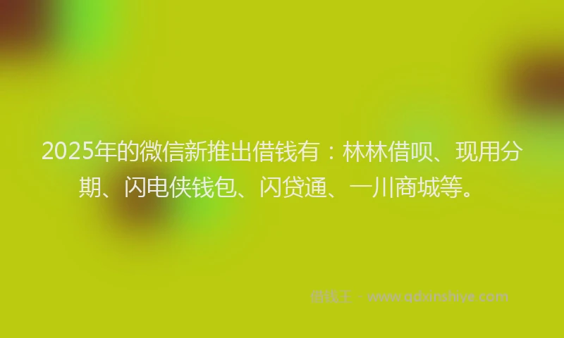 2025年的微信新推出借钱有：林林借呗、现用分期、闪电侠钱包、闪贷通、一川商城等。