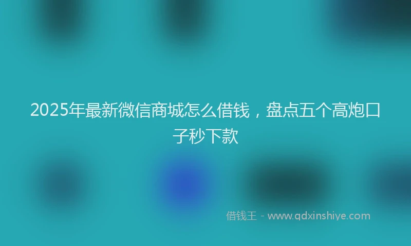 2025年最新微信商城怎么借钱，盘点五个高炮口子秒下款
