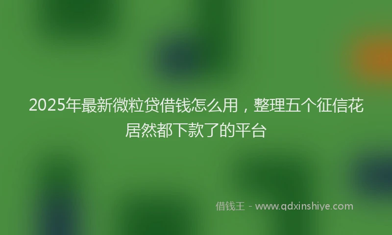2025年最新微粒贷借钱怎么用，整理五个征信花居然都下款了的平台