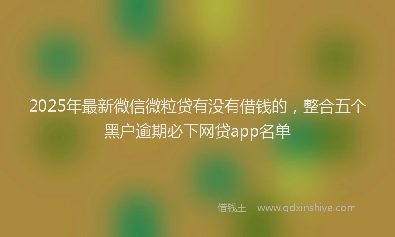 2025年最新微信微粒贷有没有借钱的，整合五个黑户逾期必下网贷app名单