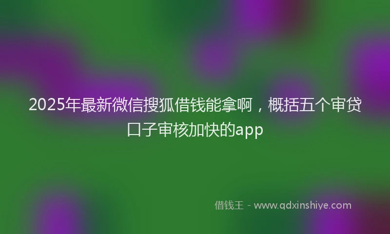 2025年最新微信搜狐借钱能拿啊，概括五个审贷口子审核加快的app