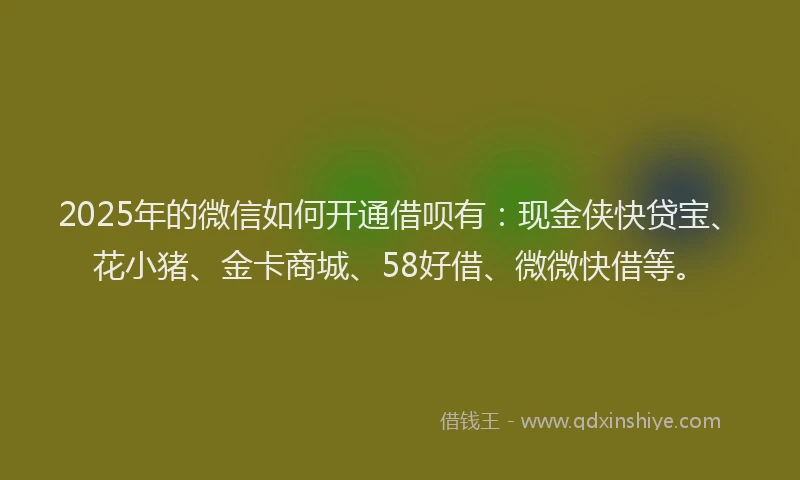 2025年的微信如何开通借呗有：现金侠快贷宝、花小猪、金卡商城、58好借、微微快借等。