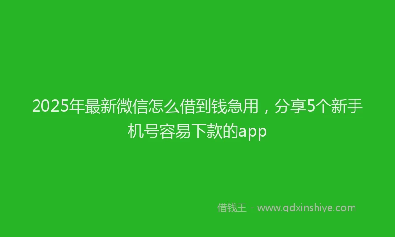 2025年最新微信怎么借到钱急用，分享5个新手机号容易下款的app