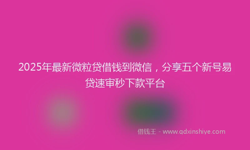 2025年最新微粒贷借钱到微信，分享五个新号易贷速审秒下款平台
