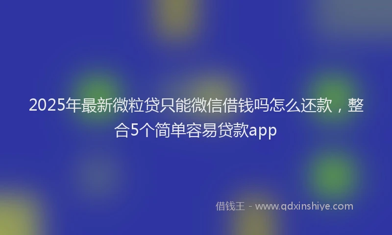 2025年最新微粒贷只能微信借钱吗怎么还款，整合5个简单容易贷款app