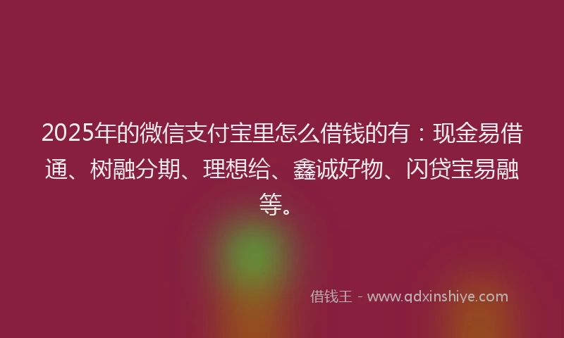 2025年的微信支付宝里怎么借钱的有：现金易借通、树融分期、理想给、鑫诚好物、闪贷宝易融等。