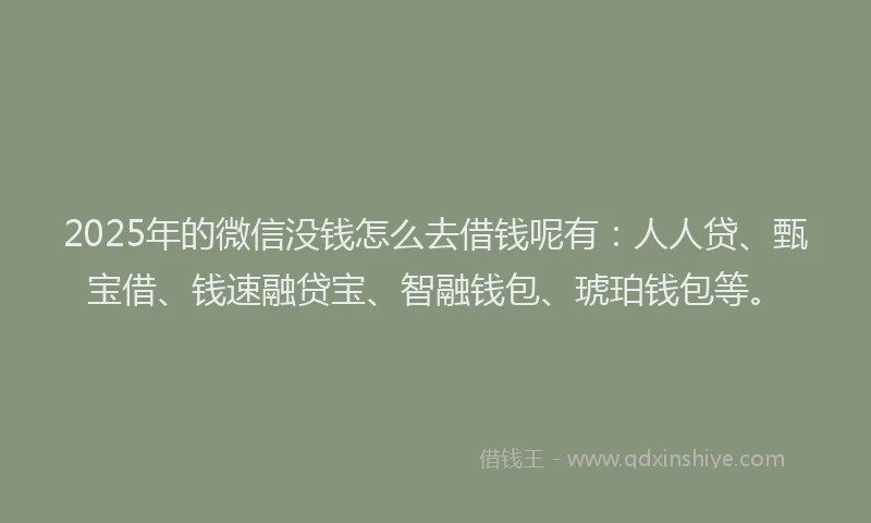 2025年的微信没钱怎么去借钱呢有：人人贷、甄宝借、钱速融贷宝、智融钱包、琥珀钱包等。