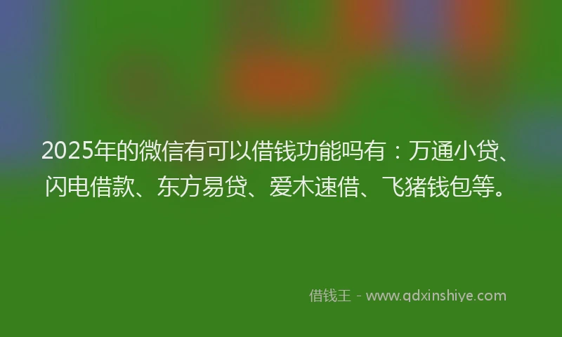 2025年的微信有可以借钱功能吗有：万通小贷、闪电借款、东方易贷、爱木速借、飞猪钱包等。