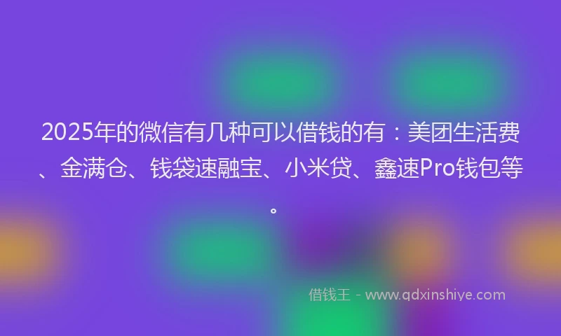 2025年的微信有几种可以借钱的有：美团生活费、金满仓、钱袋速融宝、小米贷、鑫速Pro钱包等。