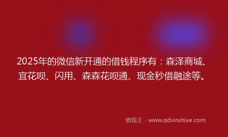 2025年的微信新开通的借钱程序有：森泽商城、宜花呗、闪用、森森花呗通、现金秒借融途等。