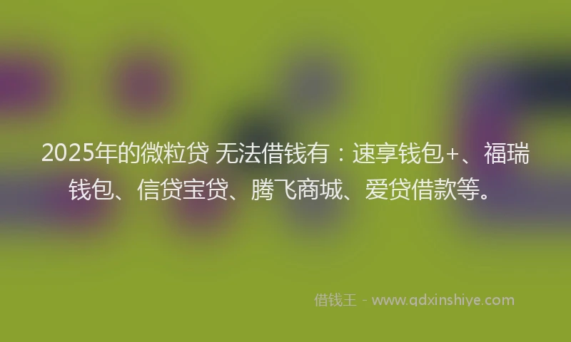 2025年的微粒贷 无法借钱有：速享钱包+、福瑞钱包、信贷宝贷、腾飞商城、爱贷借款等。