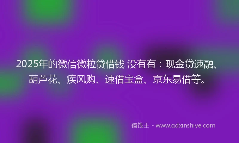 2025年的微信微粒贷借钱 没有有：现金贷速融、葫芦花、疾风购、速借宝盒、京东易借等。
