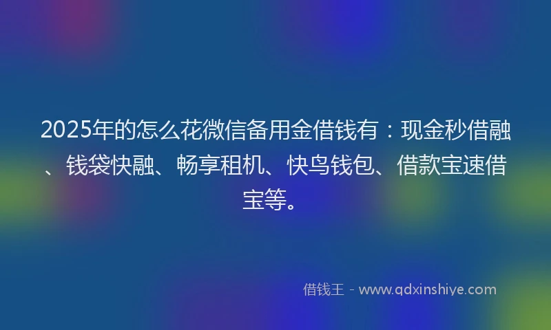 2025年的怎么花微信备用金借钱有：现金秒借融、钱袋快融、畅享租机、快鸟钱包、借款宝速借宝等。