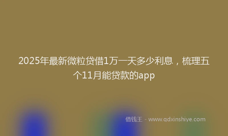 2025年最新微粒贷借1万一天多少利息，梳理五个11月能贷款的app