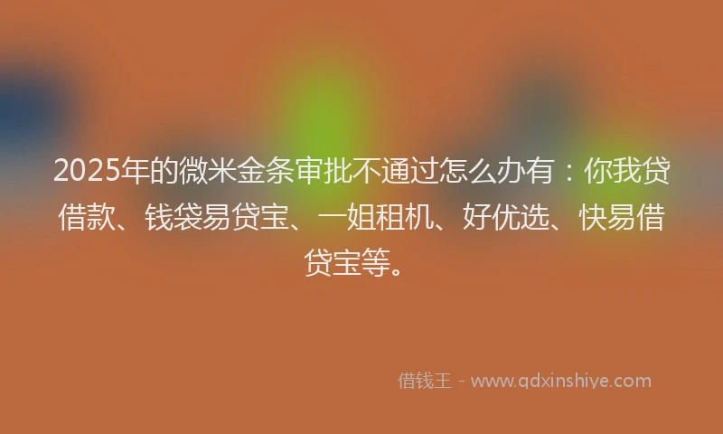 2025年的微米金条审批不通过怎么办有：你我贷借款、钱袋易贷宝、一姐租机、好优选、快易借贷宝等。