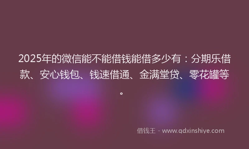 2025年的微信能不能借钱能借多少有：分期乐借款、安心钱包、钱速借通、金满堂贷、零花罐等。