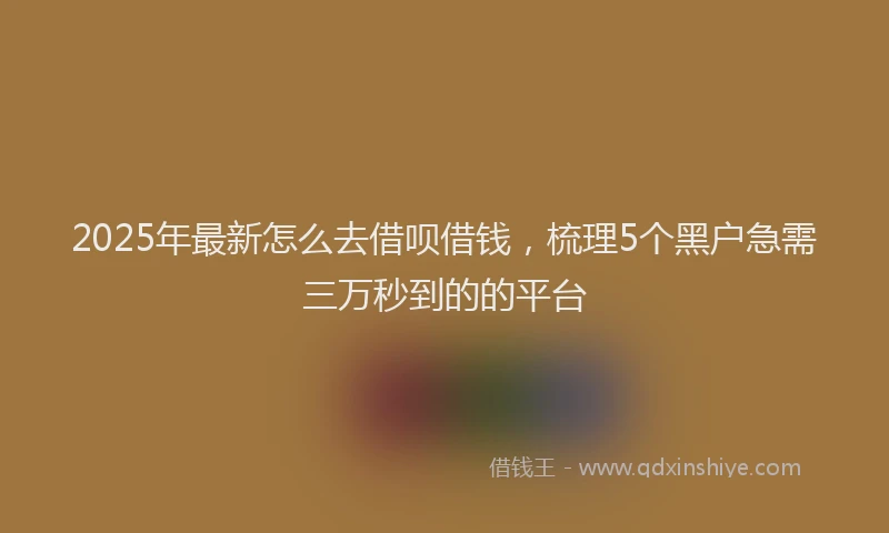 2025年最新怎么去借呗借钱，梳理5个黑户急需三万秒到的的平台