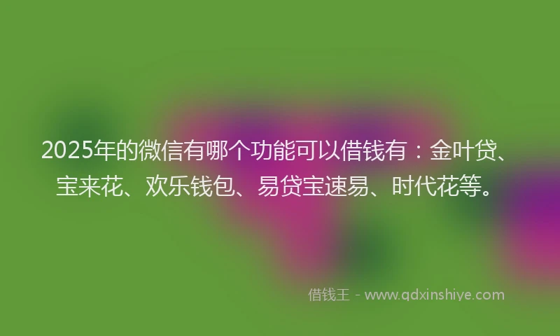 2025年的微信有哪个功能可以借钱有：金叶贷、宝来花、欢乐钱包、易贷宝速易、时代花等。