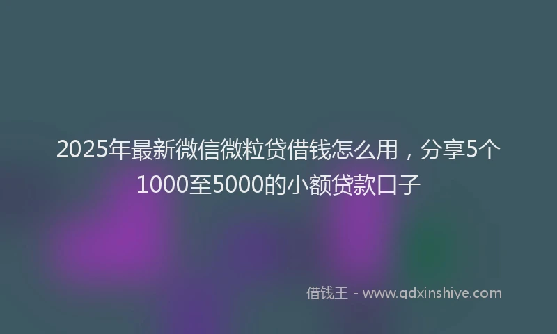 2025年最新微信微粒贷借钱怎么用，分享5个1000至5000的小额贷款口子